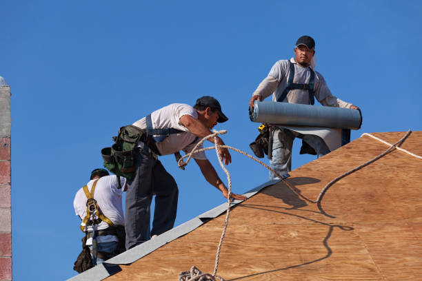 Best Commercial Roofing Services  in Warrenvle, IL