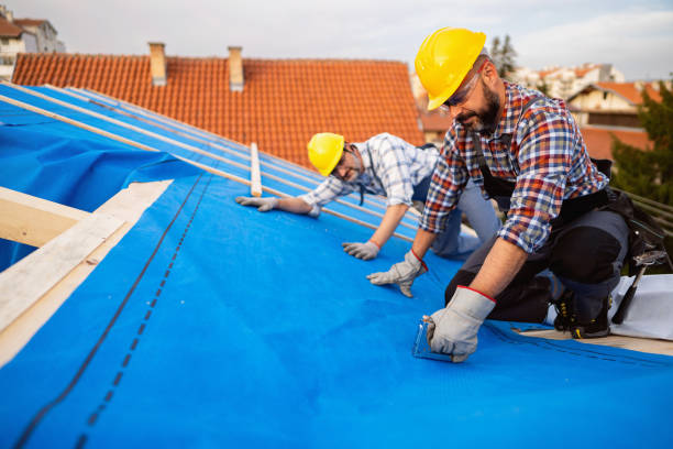 Best Metal Roofing Contractor  in Warrenvle, IL