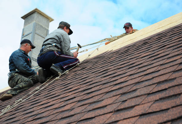 Best Flat Roof Repair Services  in Warrenvle, IL
