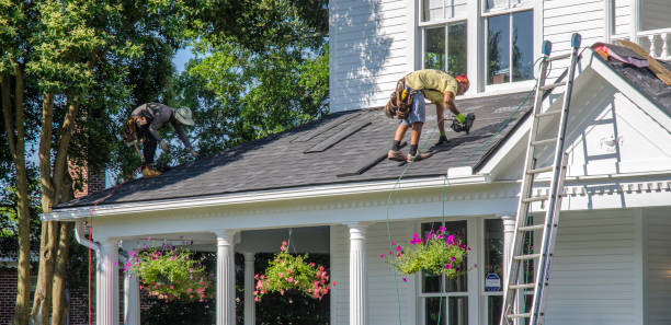 Best Roof Repair Specialists  in Warrenvle, IL