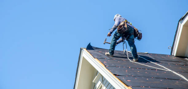 Best Best Roofing Contractors  in Warrenvle, IL